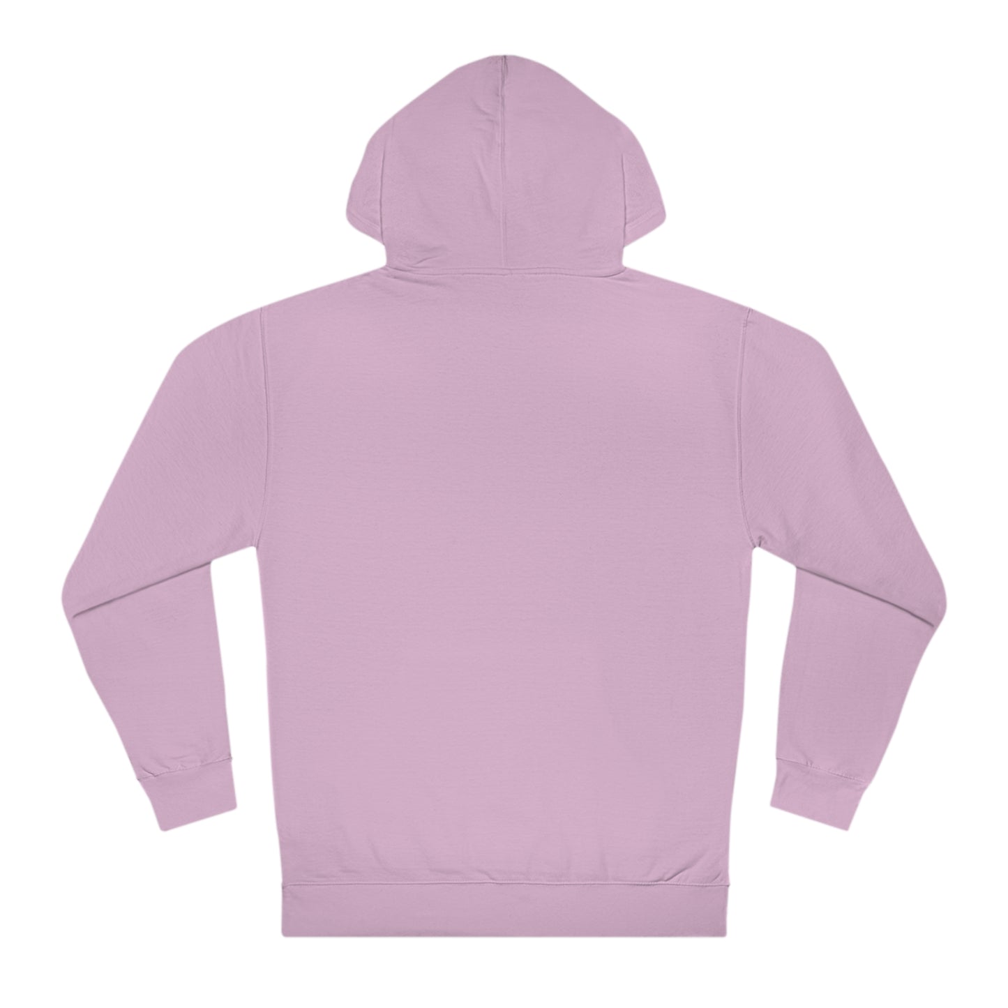 PASTELFLY | Hoodie