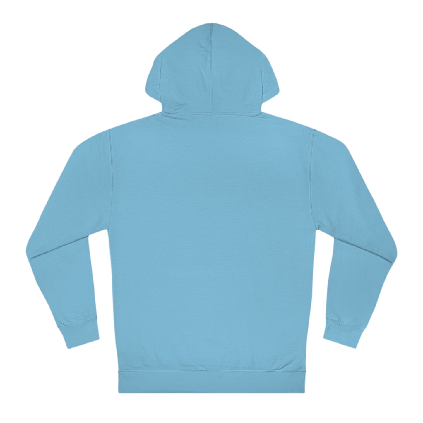 PASTELFLY | Hoodie