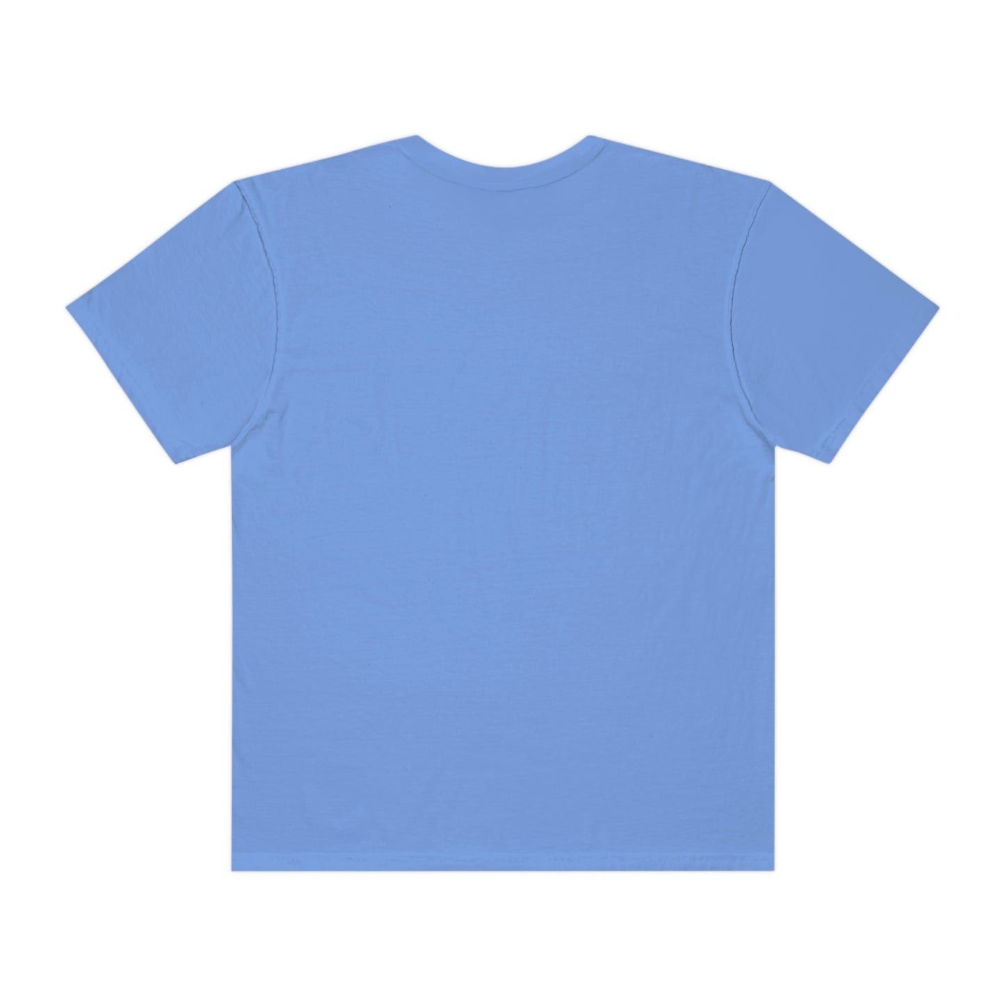 FasholyFly Valentine Tee💖(Comfort Colors)