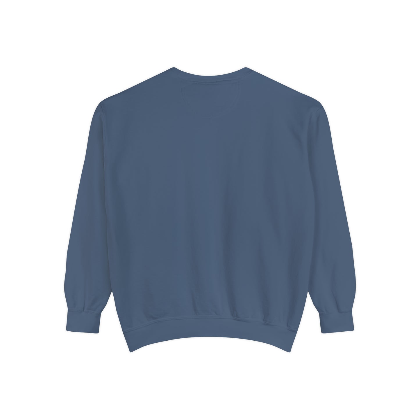 Y2KFLY (Sweatshirt) | Comfort Colors®