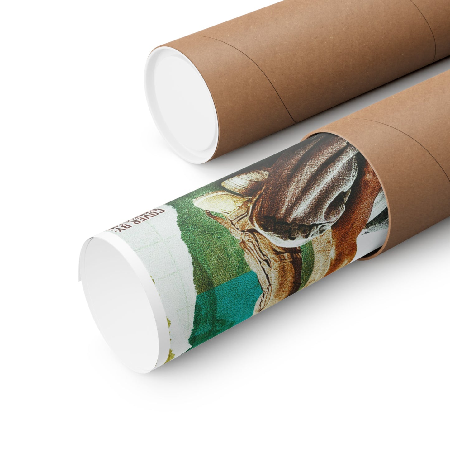Battz | Posters Matte