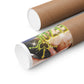 MEEZO! | Posters Matte