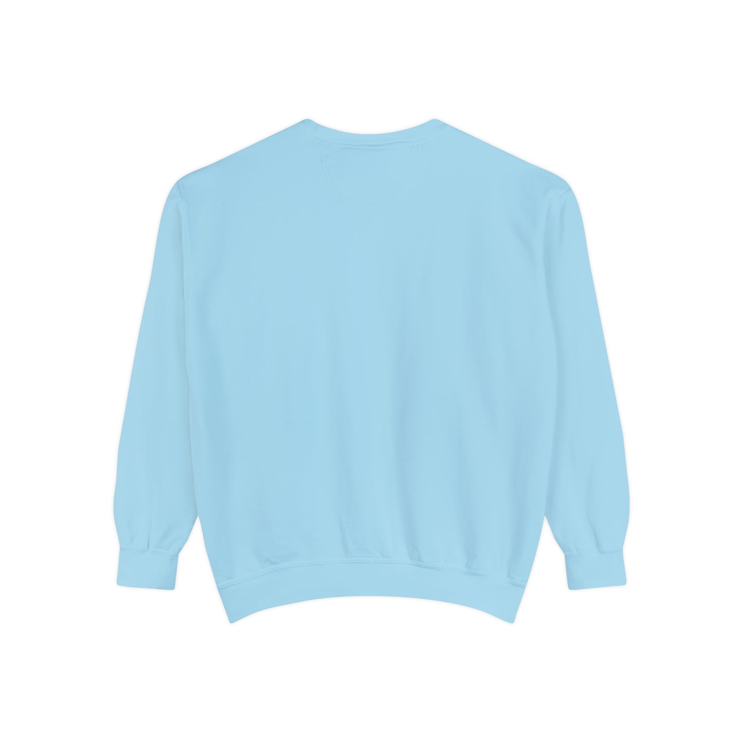 Y2KFLY (Sweatshirt) | Comfort Colors®