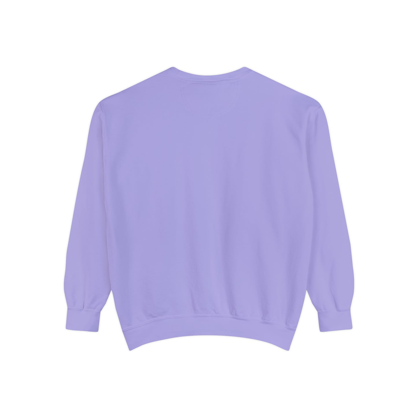 Y2KFLY (Sweatshirt) | Comfort Colors®