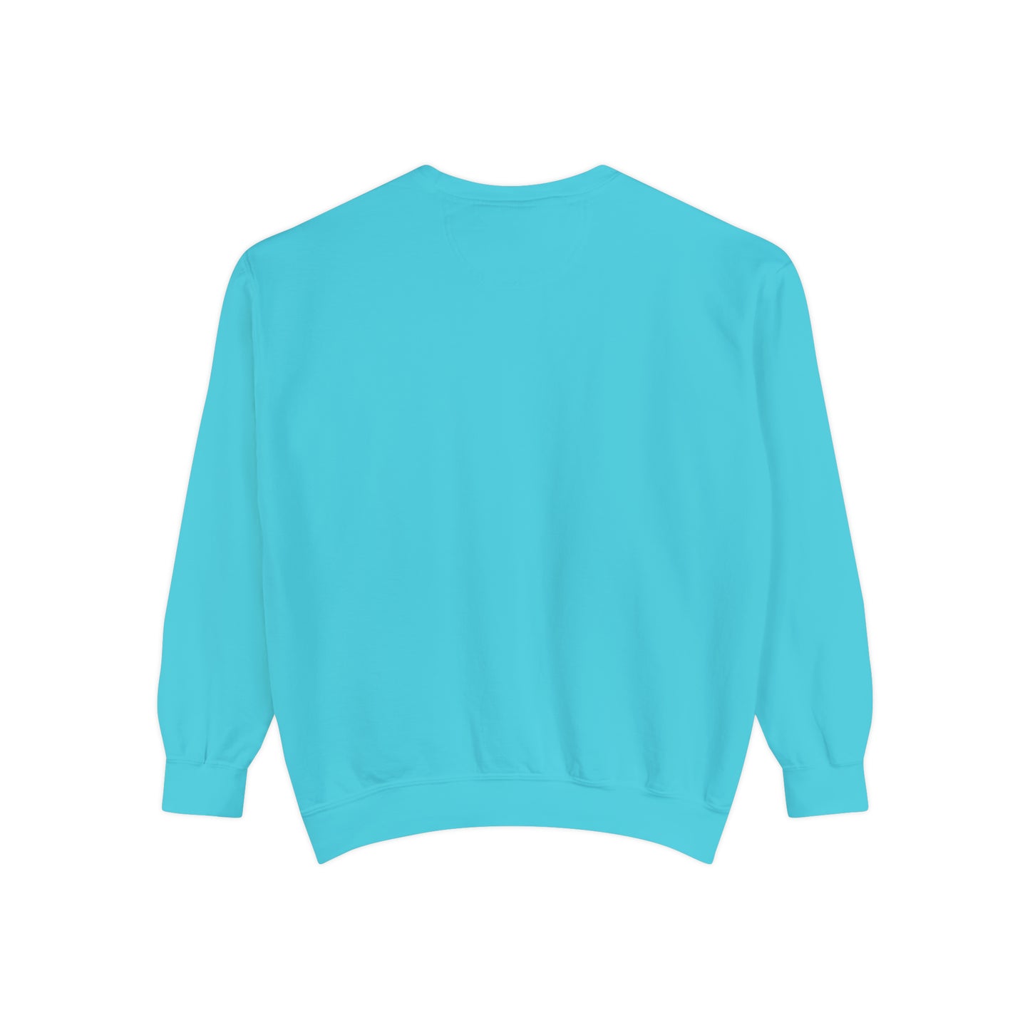 Y2KFLY (Sweatshirt) | Comfort Colors®
