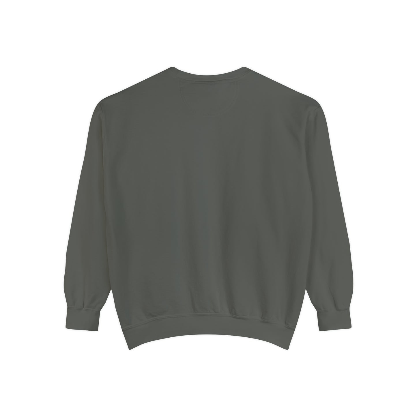 Y2KFLY (Sweatshirt) | Comfort Colors®