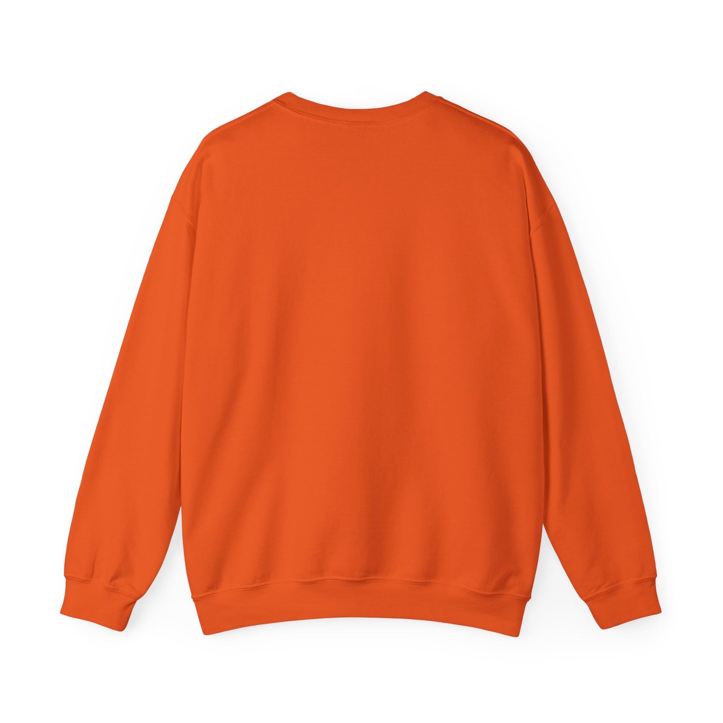 BaByFlYeRZ | Classic Sweatshirt
