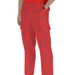 FFDarkCherry | Cargo Pants